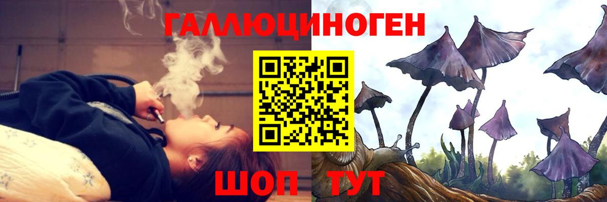 купить закладку  Вход с VPN  Донской  Галлюциногенные грибы GOLDEN TEACHER  Псилоцибиновые грибы Psilocybe 
